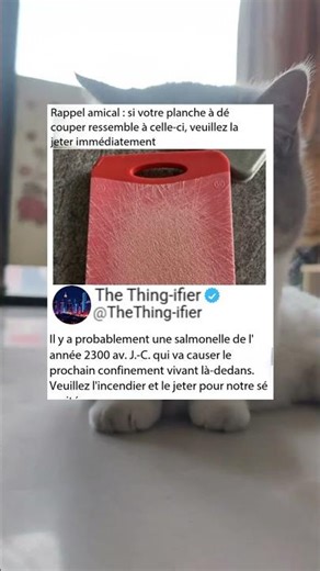 Jetez cette planche IMMÉDIATEMENT ! 🤢🔪 #Cuisine #Hygiène