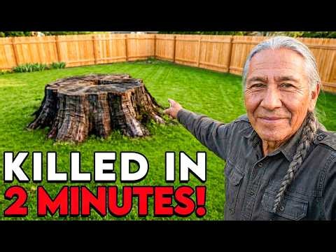 How To KILL a Tree Stump in 2 Minutes (Dirt Cheap)