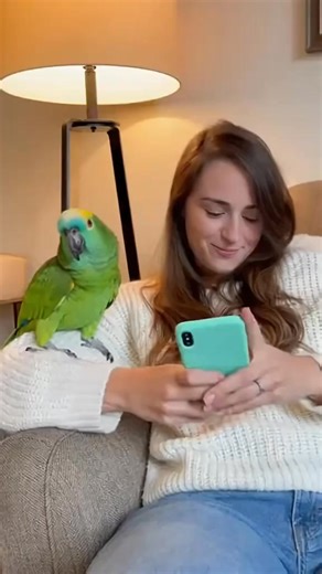 She tried to take a selfie… the parrot said NOPE 😭🦜 #parrots #Comedy #SelfieFail #AmazonParrot #TalkingParrot | Beyonce's Visuals