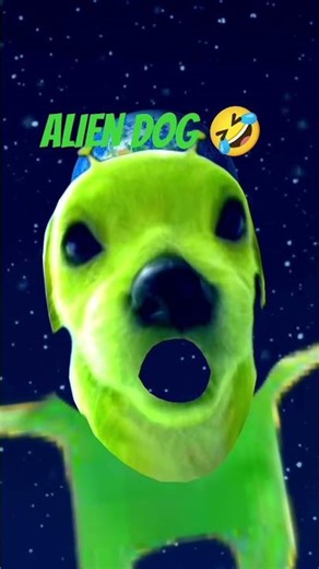 ALIEN DOG #memes