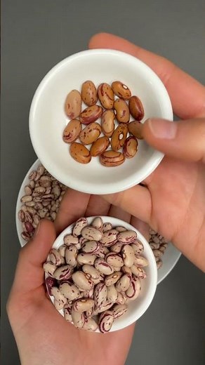 Can You Tell Which Ones Are New Beans and Which Are Old? Cranberry Beans Are the Legume of the Day!