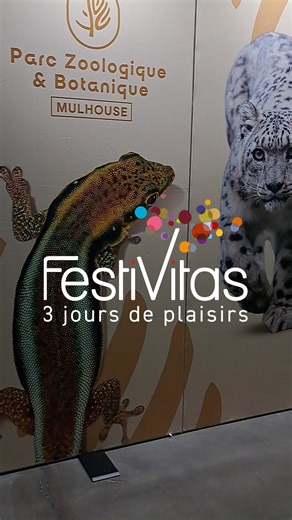 𝗗𝗲𝗿𝗻𝗶𝗲𝗿 𝗷𝗼𝘂𝗿 𝗽𝗼𝘂𝗿 𝘃𝗼𝘂𝘀 𝗿𝗲𝘀𝘀𝗼𝘂𝗿𝗰𝗲𝗿 𝗲𝘁 𝗳𝗮𝗶𝗿𝗲 𝗹𝗲 𝗽𝗹𝗲𝗶𝗻𝘀 𝗱'𝗶𝗱𝗲́𝗲𝘀 ! 💆‍♀️ 𝗧𝗲𝗮𝗺 𝗱𝗲́𝘁𝗲𝗻𝘁𝗲 ? Plongez dans notre bulle bien‑être et offrez‑vous un vrai moment de revitalisation. 🏃‍♂️ 𝗧𝗲𝗮𝗺 𝘀𝗽𝗼𝗿𝘁 ? Testez les activités sur place : pêche, escalade, golf, simulateur de vol… De quoi vivre une journée pleine d’énergie et de découvertes. 🎉 Une journée riche en activités vous attend au Parc Expo de Mulhouse. 𝟯 𝗷𝗼𝘂𝗿𝘀 𝗱𝗲 𝗽𝗹𝗮𝗶𝘀𝗶�