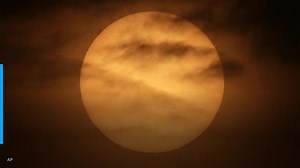 Scientists find possible clues of life on Venus