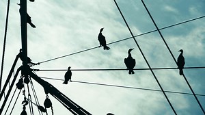 Intracoastal Waterway: Sailing from Port Aransas to Galveston - The Foster Journey