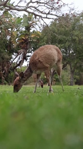 📍#GardenRouteNationalPark #Wilderness #LiveYourWild #Wildbackyard | South African National Parks