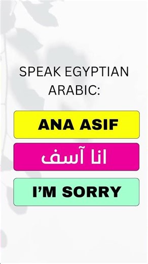 Speak Egyptian Arabic – Say Sorry