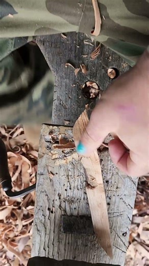 Woodcarving Blanks for Sourdough Bread Making.