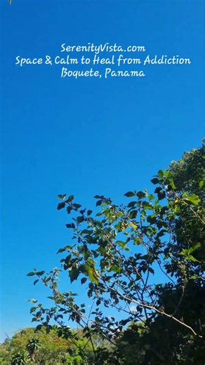 Calm Green Space to Heal | Serenity Vista Panama