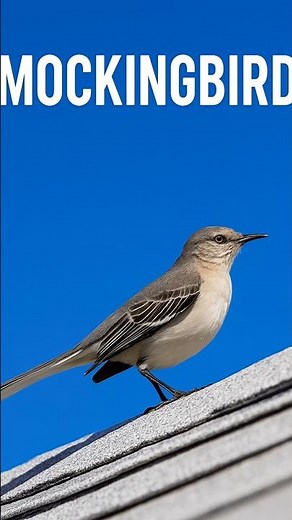 Mockingbird: Mimicry skills and knack for impersonating other birds and sounds.