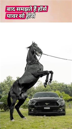 Day 5 – Horsepower vs Torque Explained in Simple Language #torque #horsepower #carseries #automobile