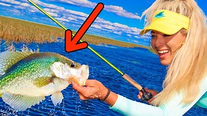 17K views · 1.3K reactions | We search the biggest lake in Florida for "lake lobster," the most delicious freshwater fish. | Darcizzle Offshore | Facebook