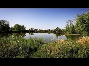 Explore Lakewood's Belmar Park