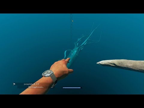 LUSCA Y MEGALODÓN -STRANDED DEEP-