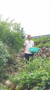 770K views · 29K reactions | The bathroom tiles are finally being laid! Decoation is a long process, but it's so exciting to see new changes every day☺ | Rose鄉村 | Facebook