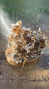 Molten Metal vs. Fire Ants: You Won't BELIEVE the INSANE Result! 🤯🐜