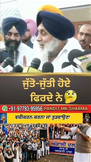 ਜੁੱਤੋ ਜੁੱਤੀ ਹੋਏ ਫਿਰਦੇ ਨੇ ਕਾਂਗਰਸ ਵਾਲੇ ਆਮ ਆਦਮੀ ਪਾਰਟੀ ਵਾਲੇ ਸੁਖਬੀਰ ਸਿੰਘ ਬਾਦਲ ਦਾ ਕਹਿਣਾ #shorts