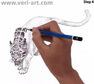 How to draw Clouded Leopard movement and expression Animation video How to draw with pencil series. eBook available at https://books.google.com/books?id=vyRsDQAAQBAJ Check more video's at https://www.youtube.com/veriart | DRAWING PENCIL