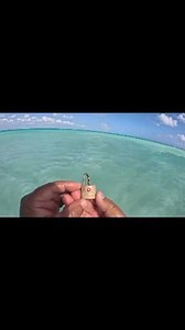 5 DÍAS DE BÚSQUEDA Y MILES DE PESOS ENCONTRADOS.⛓️🪙⚓💵🌊😱💍🏖️. NO TE PIERDAS ÉSTE Y MUCHOS MÁS VIDEOS EN MI CANAL DE YT, FB, IG Y TK Tesoros Enterrados. #tesorosenterrados | Tesoros Enterrados