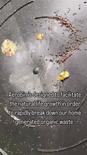 Aerobin Composter on Instagram: "🇺🇸 @heygardenzaddy demonstrates that Aerobin is designed to facilitate the natural life growth in order to rapidly break down our home generated organic waste. Join us for this Down To Earth business, e.g composting home generated organic wastes everywhere & everyday to take care of the only Mother Earth! Why not start home composting yourself today with the right tool that meets your lifestyle as well as empowering you to make a positive contribution to the cl