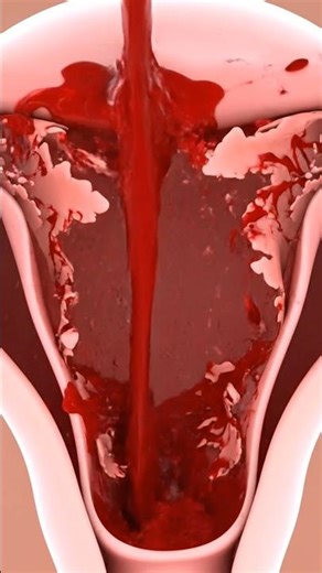 Day-by-Day Changes in Menstrual Blood Flow#shorts #science #anatomy