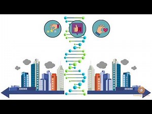 Writing Business Reports: Great Business Reports | Knowledgecity.com