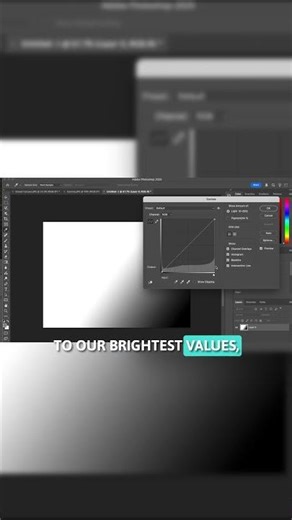 Levels and Curves (Photoshop) Understanding Curves