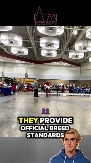 Bichon Frise: Non-sporting fluff, secretly chasing agility trophies.