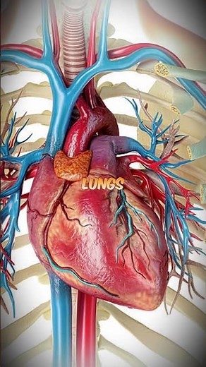 You’re Shooting WRONG – Delta Force Operator Explains Why