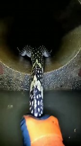 Experience the rare phenomenon of absolute visual silence. This sequence explores the boundary where light ceases to exist, creating a perfect void that challenges human perception. Beyond the initial darkness lies a subtle shift in texture and depth that most viewers miss on their first watch. It serves as a narrative bridge between the seen and the unseen, forcing the mind to fill in the blanks. Watch until the end to see the 13th-second transition that redefines sensory input. Let me know you