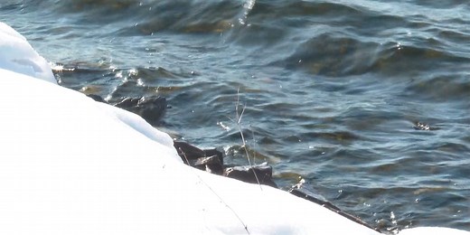 Warm winter leaves Vermont with less ice cover on lakes, ponds