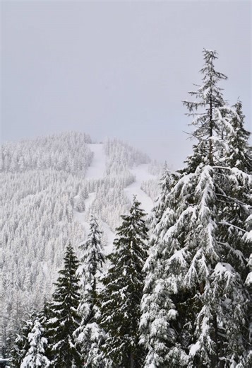 I’m back for our first Cozy Date of 2026! I’m taking you to all the cool, fun and creative things to do in Vancouver when it’s cold outside ❄️ Today we’re going to @Cypress Mountain to go SNOW TUBING! This was such a fun little day activity and a perfect way to embrace the snowy mountains especially if you’re not the best at skiing or snowboarding (like me 😇) buuut you still want a little thrill. 😎 ⭐️ Ticket Info 🎟️ ⭐️ BOOK ONLINE before you go to ensure your spot! Tickets are $37 per person 