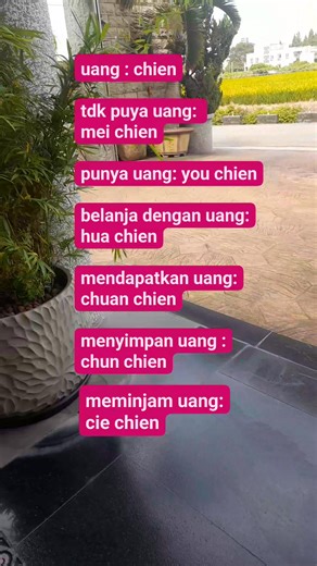 4.3K views · 87 reactions | belajar bahasa mandarin dari kata (chien) yg artinya uang #reelsvidio #vidioreel #vidioriginal #reelfyp #fbpro #bmitaiwan #tkitaiwan #tkwtaiwan #pahlawandevisa #jangkauanluas #bahasamandarinseharihari #bahasamandarin | Su Lis | Facebook