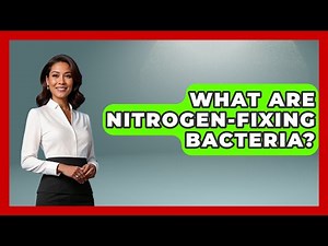 What Are Nitrogen-Fixing Bacteria? - Biology For Everyone