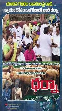 యాదవ గొర్రెల కాపరులపై దాడి… న్యాయం కోసం ఒంగోలులో భారీ ధర్నా #యాదవులపైదాడి #ఈదుముడిఘటన