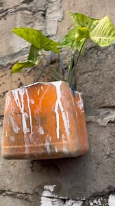 102K views · 7.1K reactions | Hit; BREVEMENTE  | Sílvio Chöcolatë | Facebook