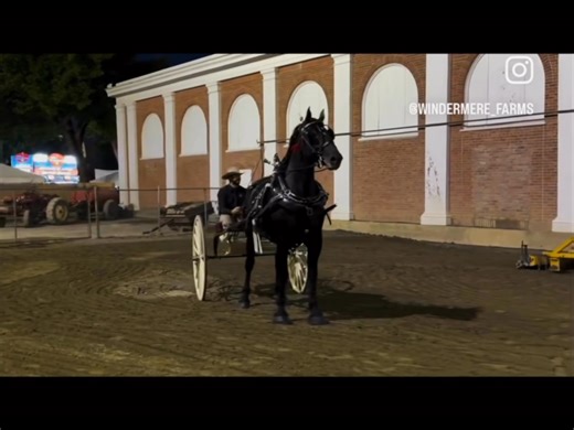 🎪Showing at the Big E in Springfield Massachusetts | Windermere Farms
