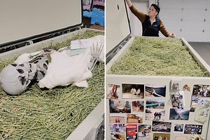 I work at a green funeral home & I showed people how we compost deceased bodies