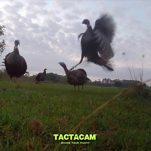 For a limited time you can pick up #Tactacam 5.0 or 5.0 Wide and get a FREE Accessory. 👏 (Excludes Tactacam FTS) | Tactacam