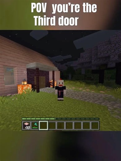 Why do third doors exist? #minecraft