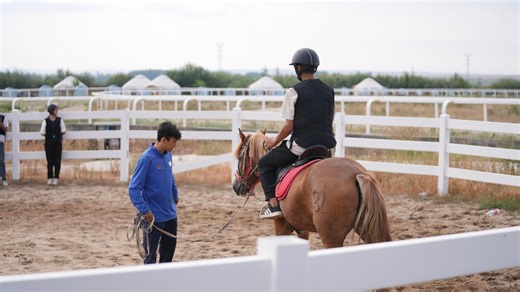 Horse breeding industry deeply integrated into Xinjiang's Altay region
