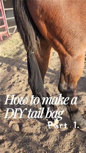 How to Make a DIY Tail Bag Part 1