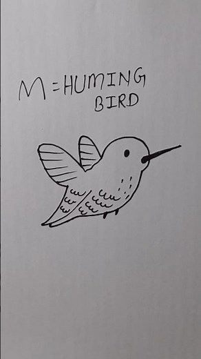 how to draw humming bird easy for beginner