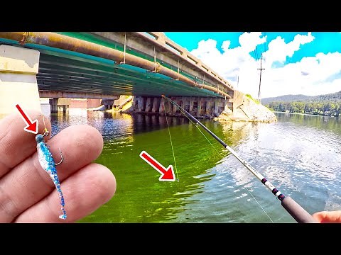 Simple & Easy Way To Catch Loads Of Crappie In A Lake