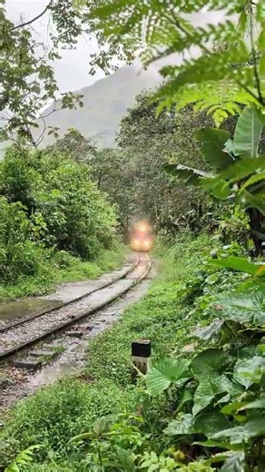 PeruRail Expedition Cusco - Machu Picchu Ferrocarril del Sur del Perú