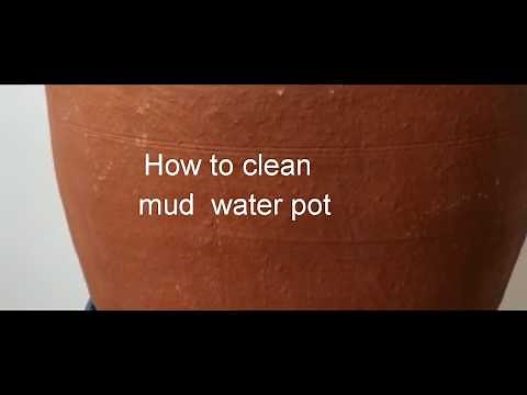 How to clean mud water pot for the first time and every season.
