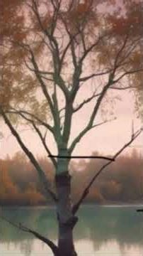 Песня ЗЕРКАЛО на румынском языке