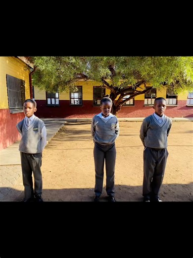 The Significance of Being a Flag Bearer in School