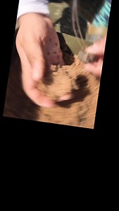 273 reactions · 6 comments | The TRUTH about Solid Bags… and why Ali...