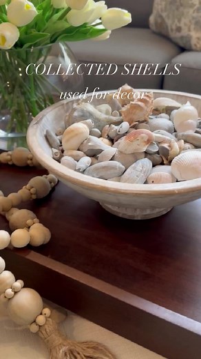 Using our collected shells to display for decor 🥰 #homedecoration #homeinspo #betterhomesandgardens #summerdecor | The Magnolia Mercantile