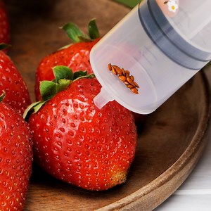 Essential potting hacks for vibrant gardens🌼 | 5-Minute Crafts GIRLY